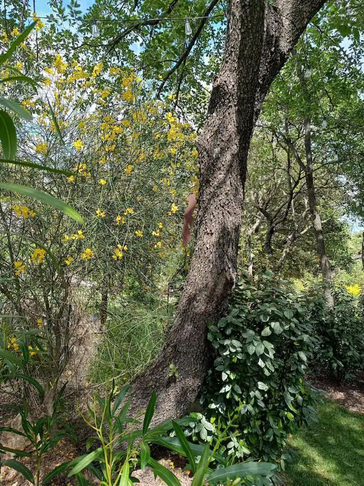 L'Autre Perle, Balneo En Supplement, Le Clos Des Perles Tourtour Bagian luar foto